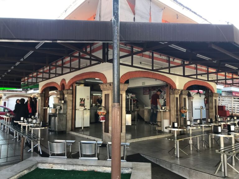 17490 los altenos 768x576