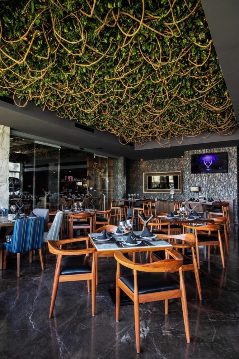 17752 mochomos aguascalientes 768x1152