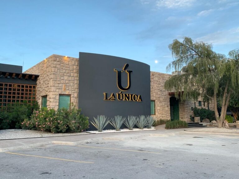 18112 la unica torreon 768x576