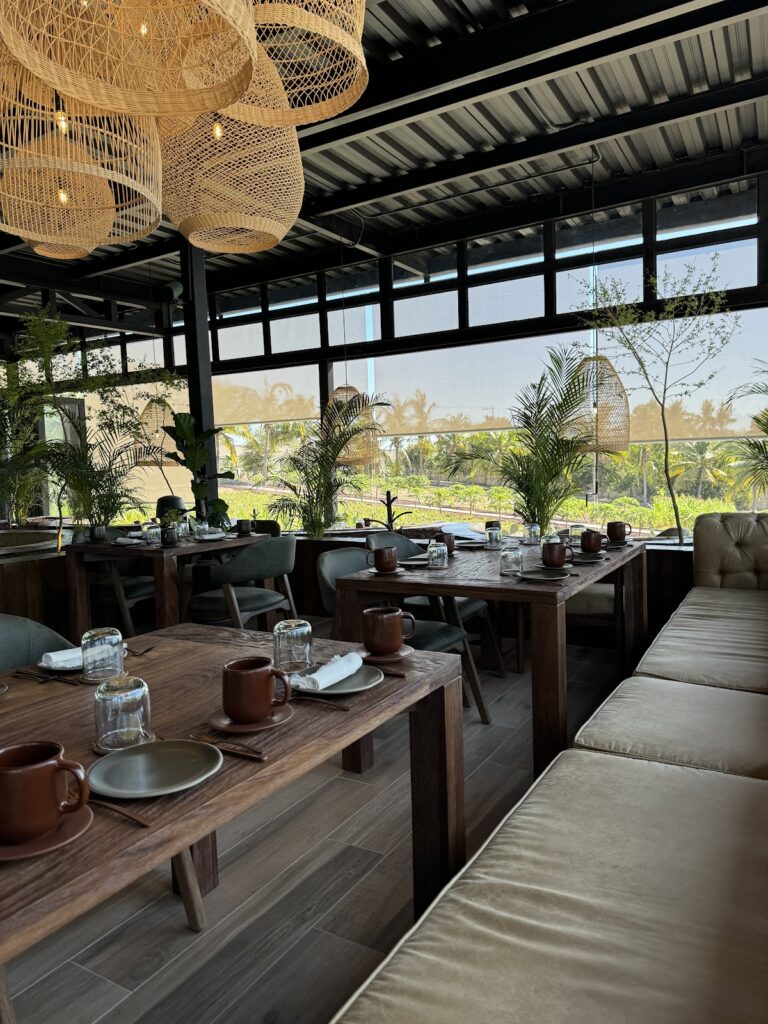 18257 cosecha farm to table 768x1024