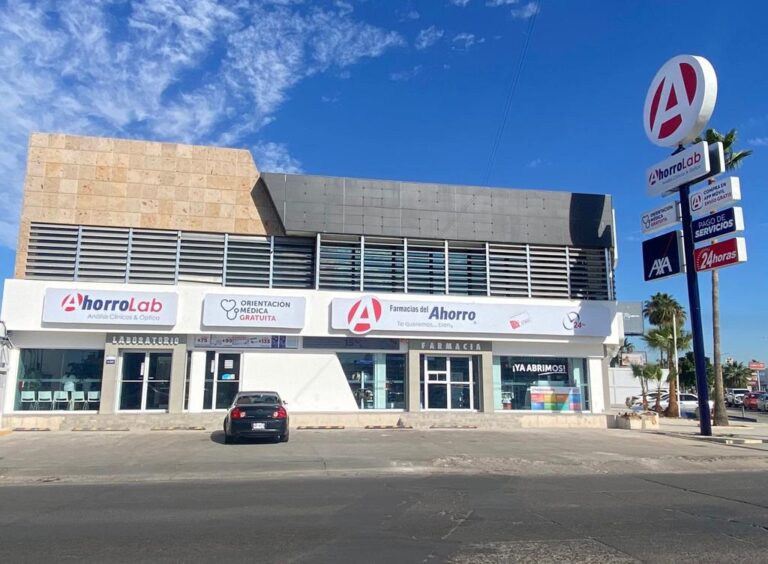 19231 farmacias del ahorro 768x564