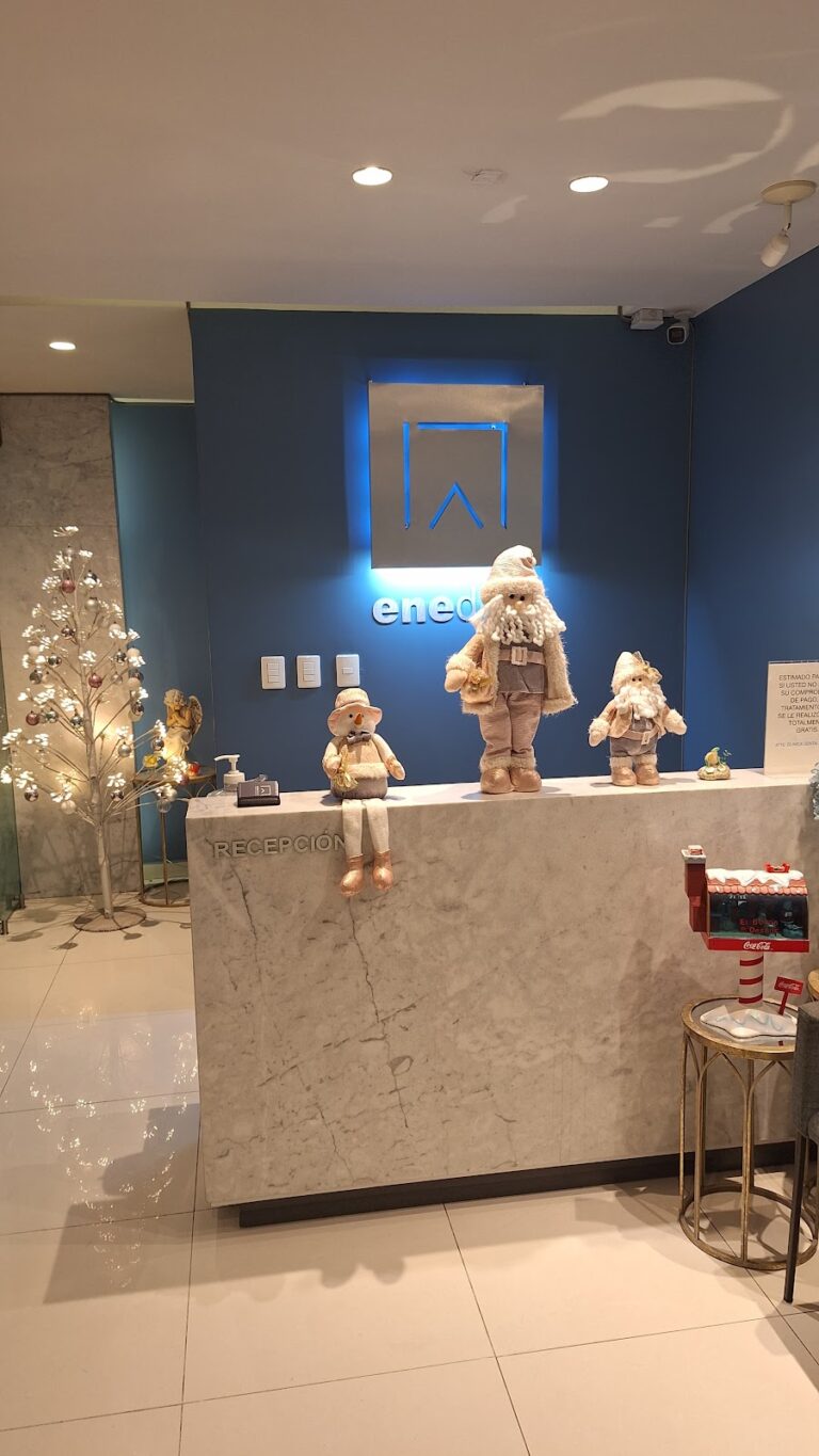 19829 enedent clinica dental 768x1365