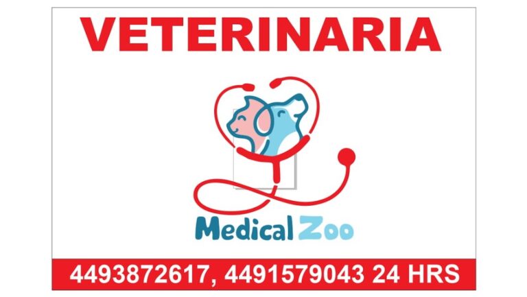 20147 veterinaria medical zoo 768x433