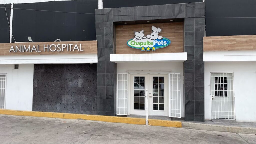 20165 hospital veterinario chapultepets tijuana 1024x576