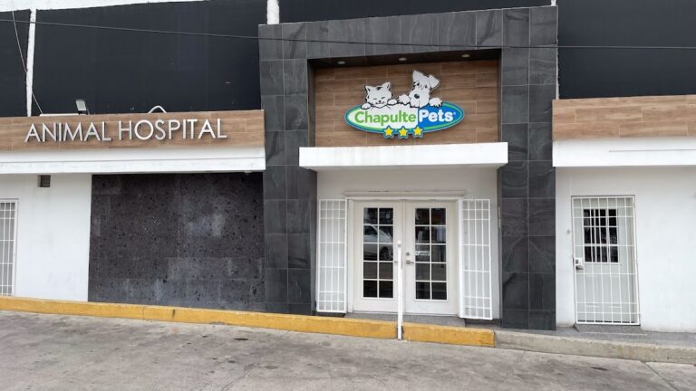 20165 hospital veterinario chapultepets tijuana 768x432
