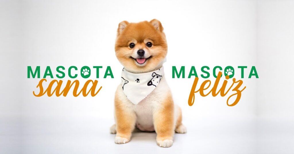 20180 veterinaria bahia 1024x536