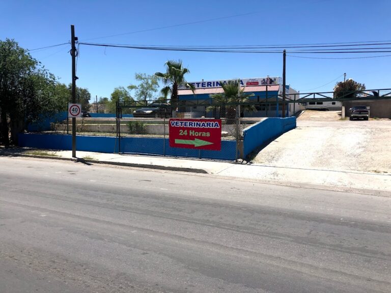 20188 veterinaria angel de juarez 24 horas 768x576