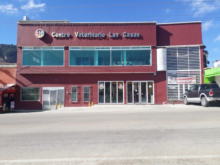 20190 centro veterinario las casas 768x576