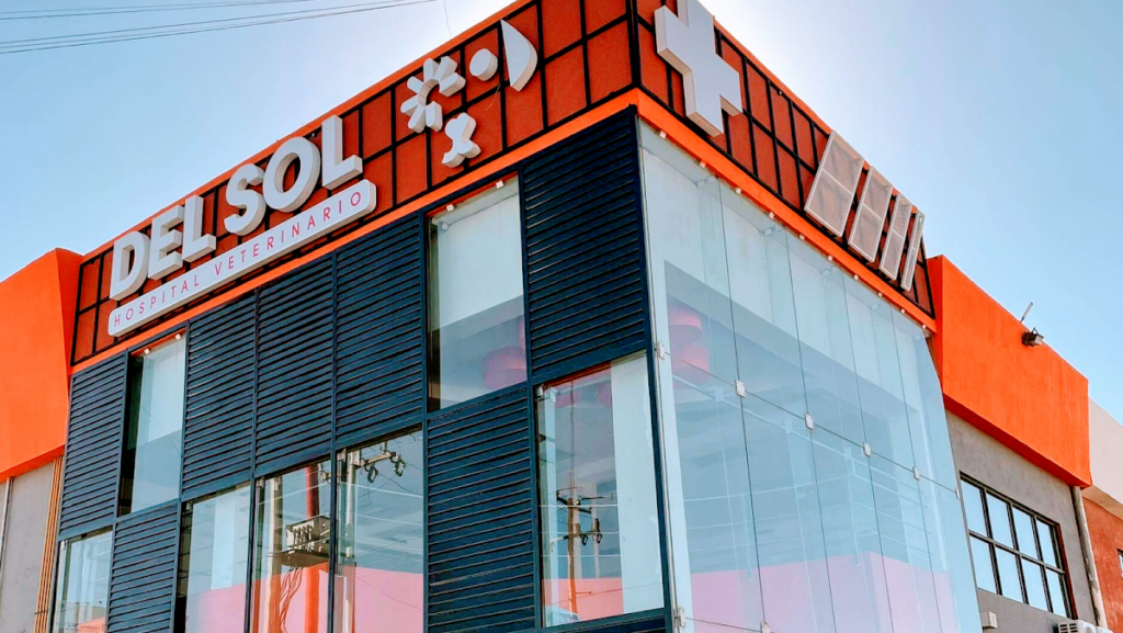 20196 del sol hospital veterinario 1024x577