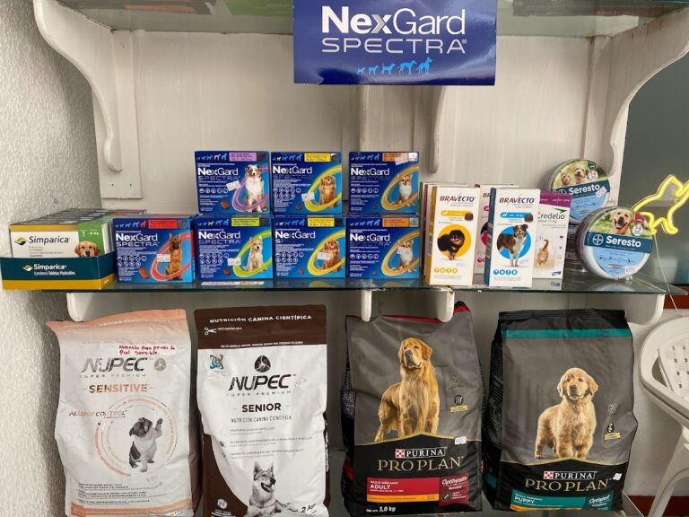 20201 jemvet 768x576