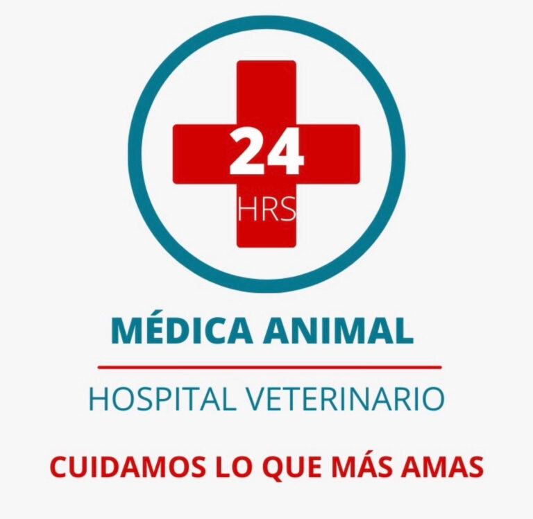 20205 hospital veterinario medica animal 24 hrs 768x748