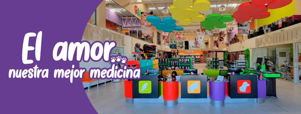 20214 pets care veterinario 24 horas en saltillo traumatologo veterinario en saltillo 1024x390