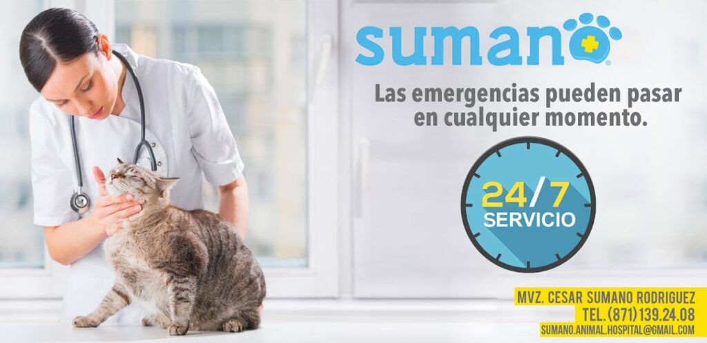 20222 sumano animal hospital 8211 oftalmologo veterinario en torreon 8211 veterinario 24 horas en torrreon 1024x497