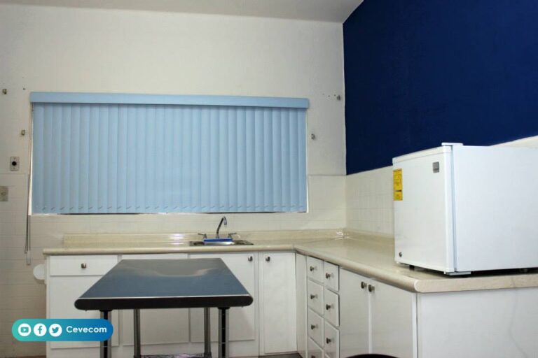 20225 cevecom 768x512