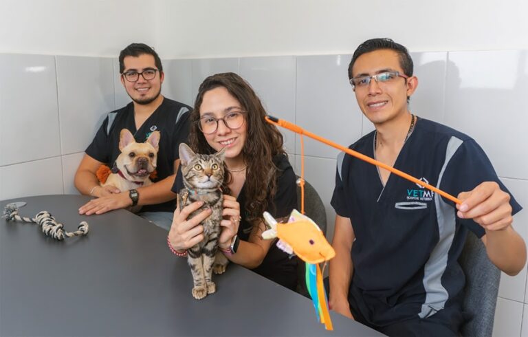 20232 vetme 8211 hospital veterinario condesa 768x490