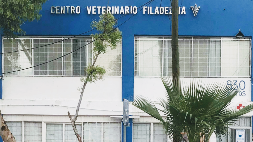 20251 centro veterinario filadelfia 1024x577