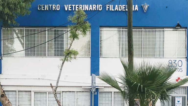 20251 centro veterinario filadelfia 768x433