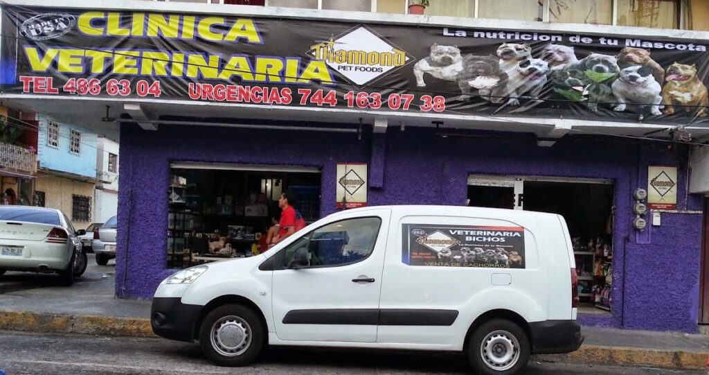 20270 clinica veterinaria bichos 1024x541