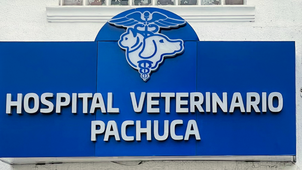 20278 hospital veterinario pachuca 1024x576