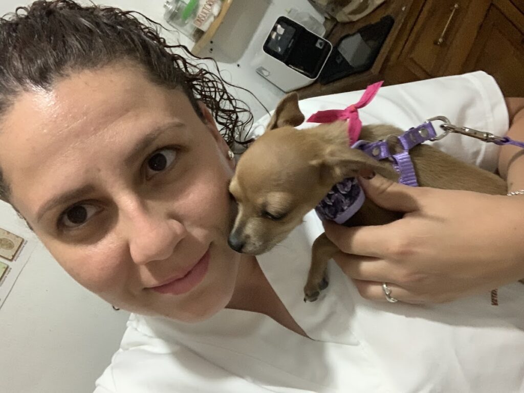 20288 veterinaria ecopet 1024x768