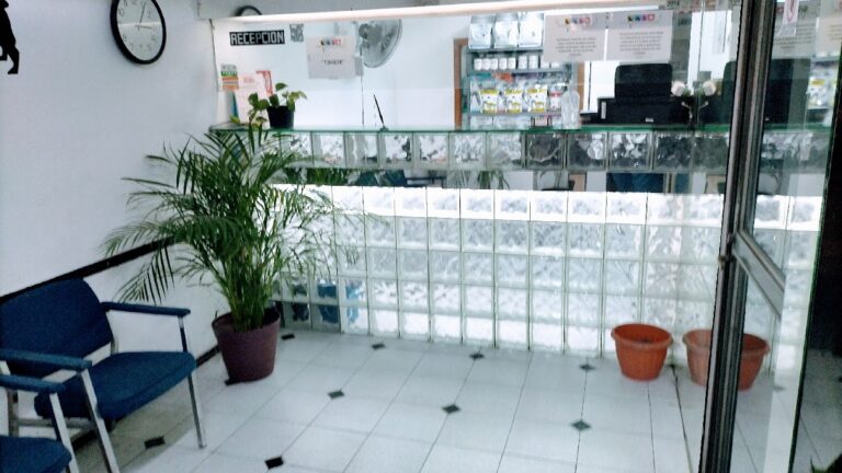 20296 hospital veterinario san jacinto 768x432