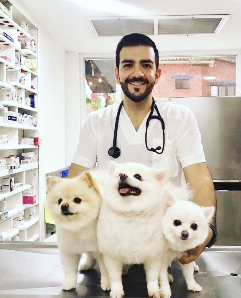 20310 pet friends veterinary hospital 768x949