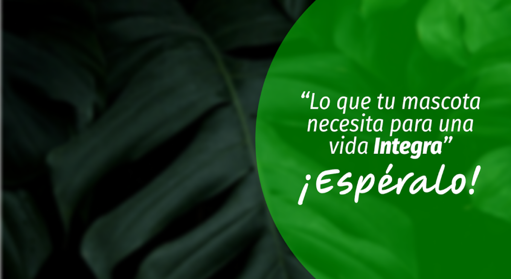 20313 grupo veterinario vetcare 1024x559