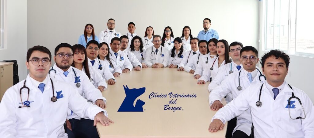 20323 clinica veterinaria del bosque emergencias 24hrs7 dias solo perros y gatos 1024x450