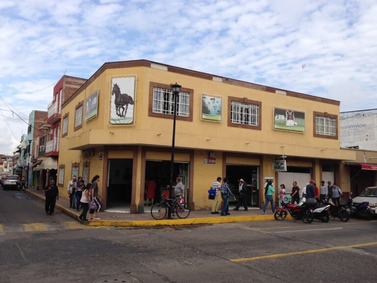 20328 veterinaria nava castillo 768x576