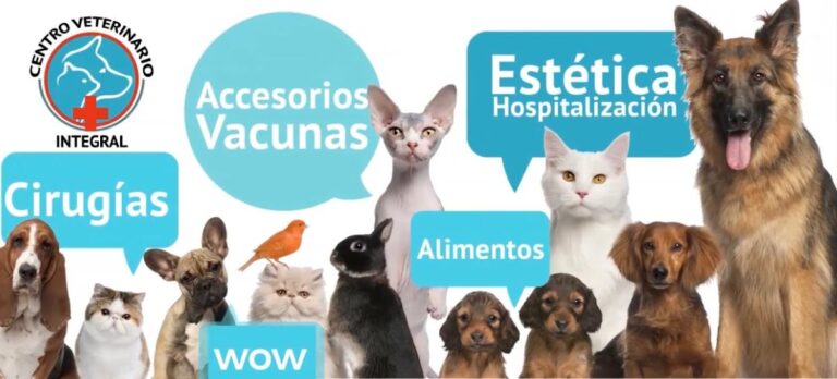 20338 centro veterinario integral el mosri 768x348
