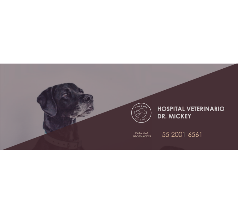 20340 hospital veterinario base delfin ii 768x692