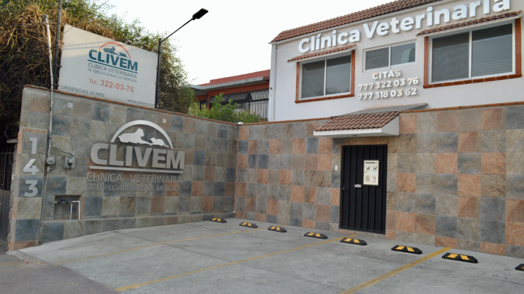 20357 clinica veterinaria de especialidades de morelos 1024x576