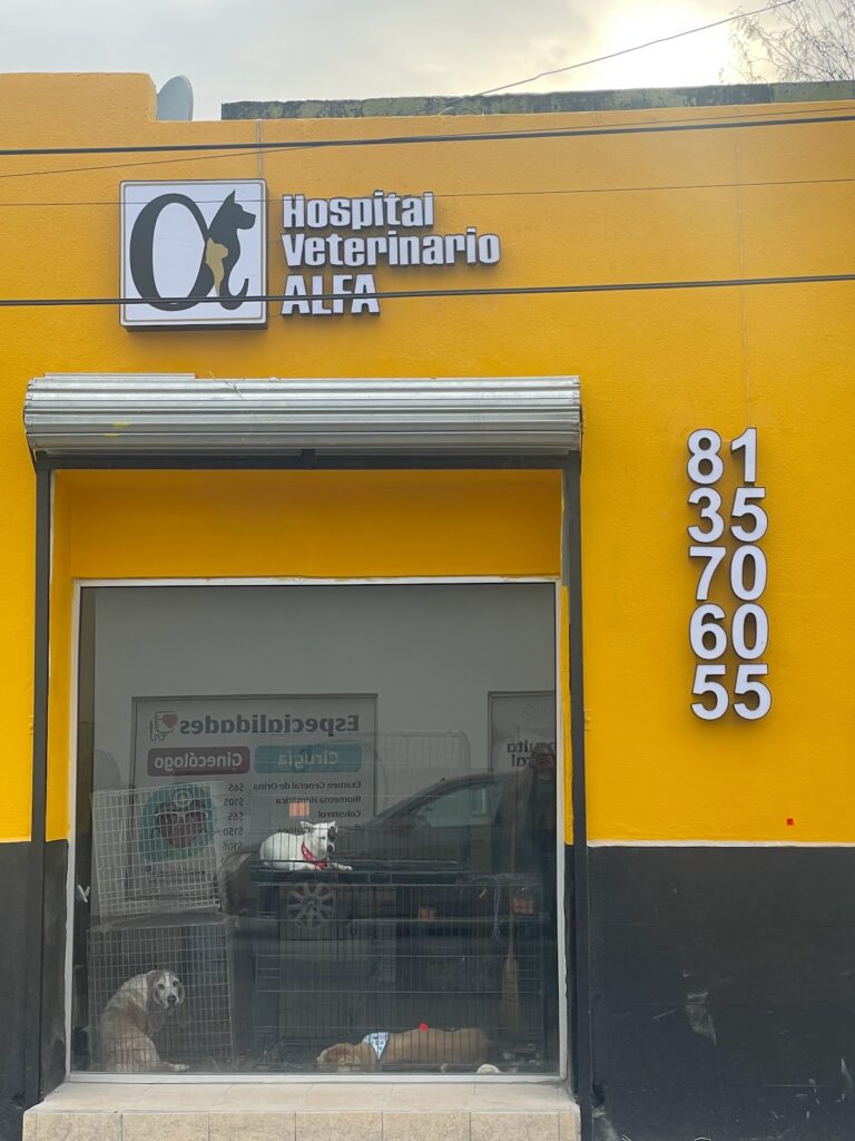 20361 hospital veterinario alfa 768x1024