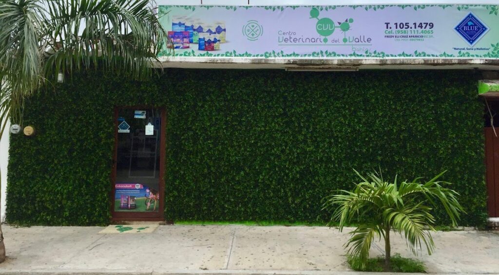 20371 centro veterinario del valle 1024x565