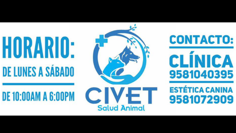 20379 civet huatulco salud animal 768x432