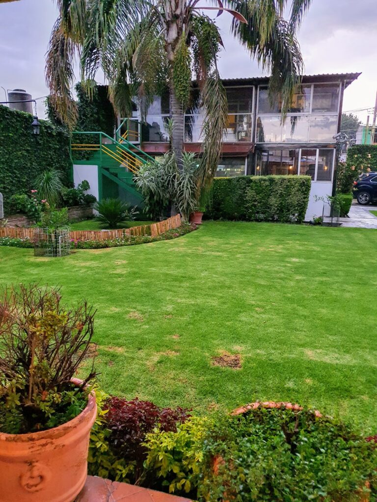 20387 hospital veterinario de cholula 768x1024