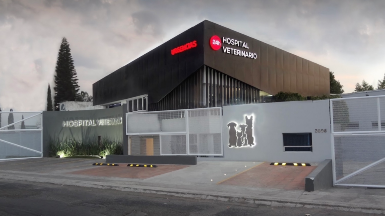 20392 hospital veterinario de puebla unidad recta 247 768x432