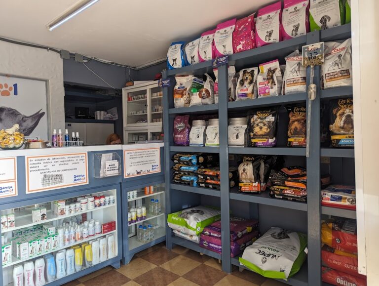 20396 sonrisa animal 768x579