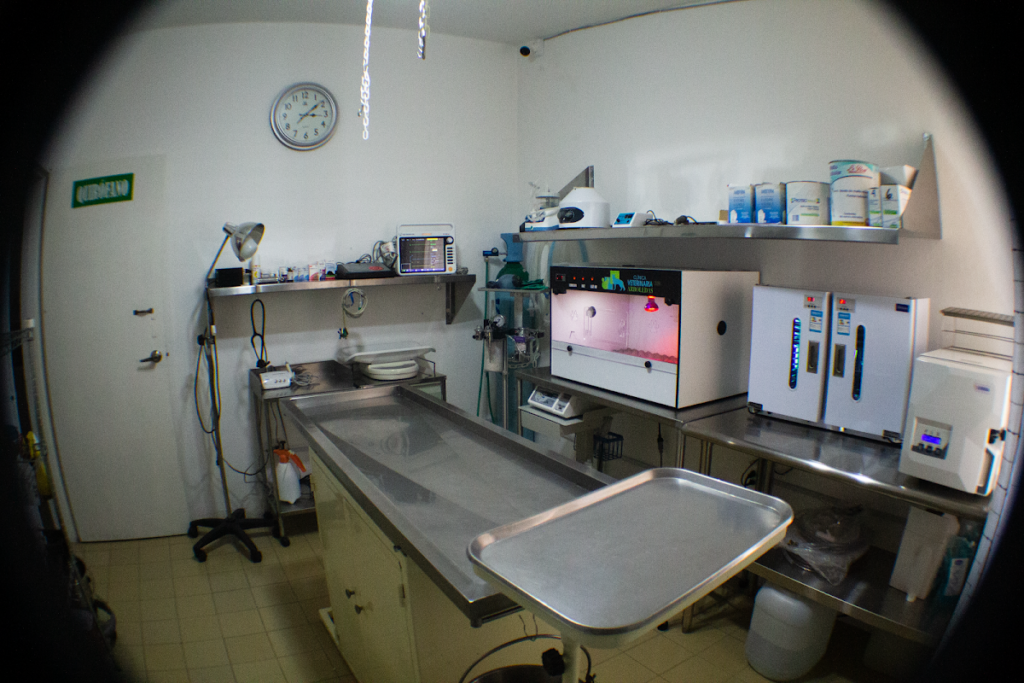 20414 clinica veterinaria arboledas 1024x683