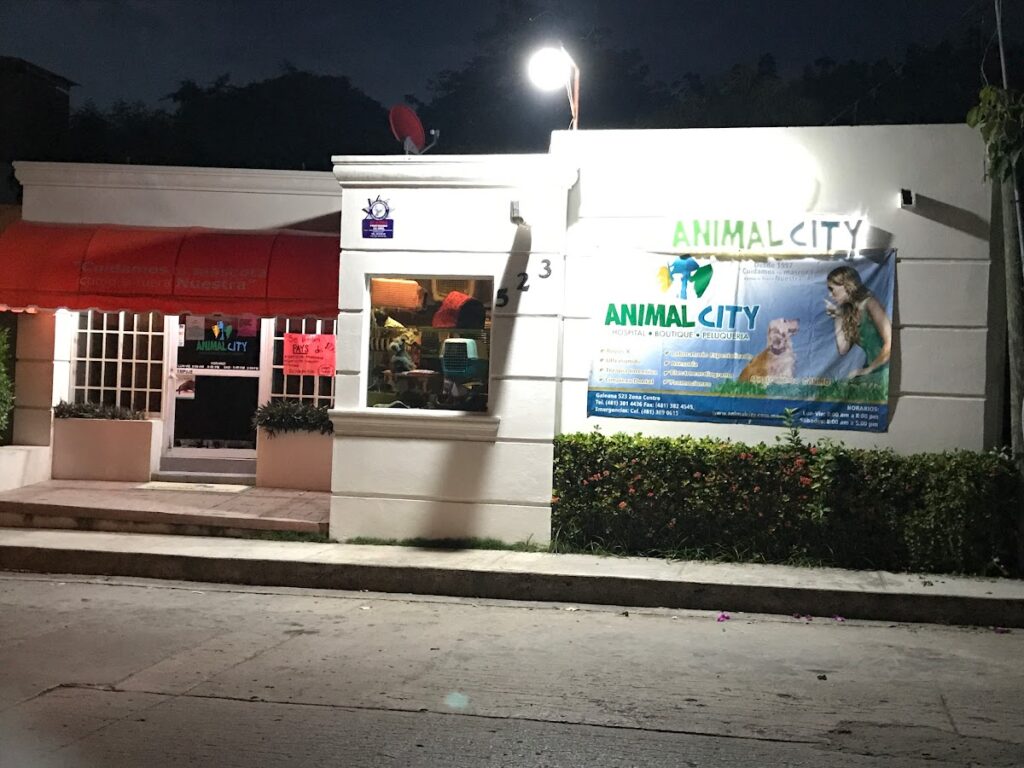 20421 animal city 1024x768