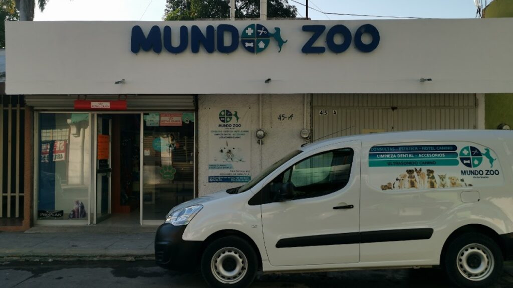 20425 veterinaria mundo zoo 1024x576