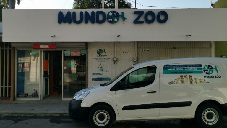 20425 veterinaria mundo zoo 768x432