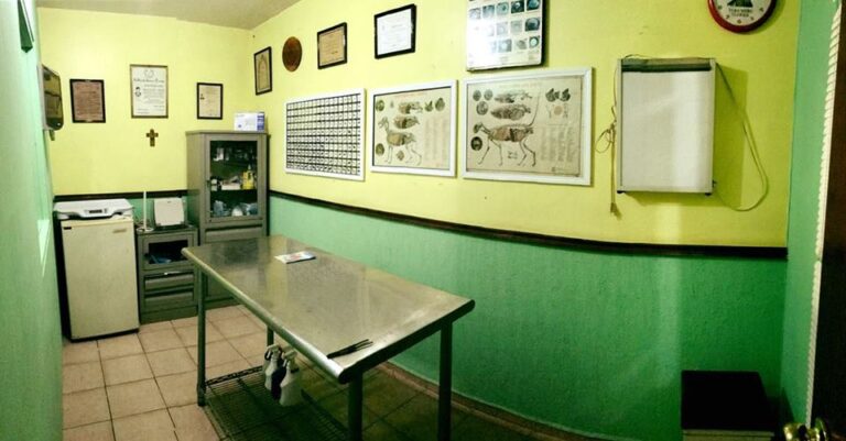 20448 lucecas veterinaria 768x401