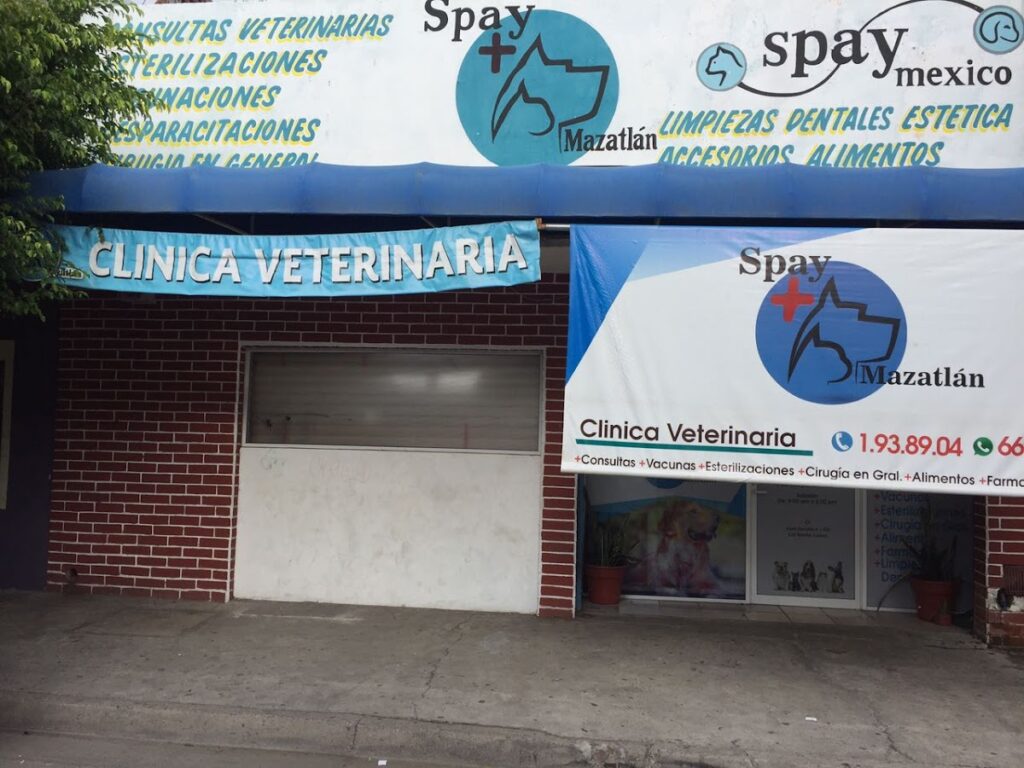 20452 clinica veterinaria spay mazatlan 1024x768