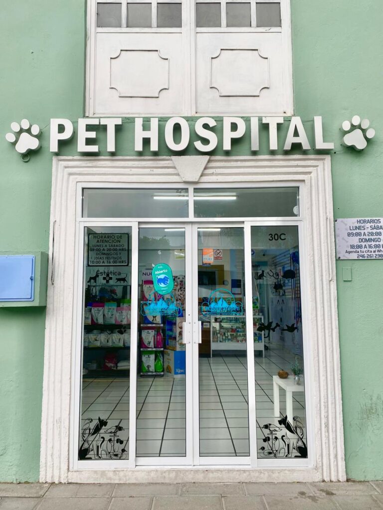 20472 puppycatepetl hospital veterinario 768x1024