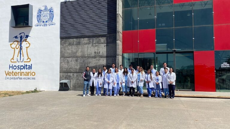 20513 hospital veterinario de pequenas especies 768x432