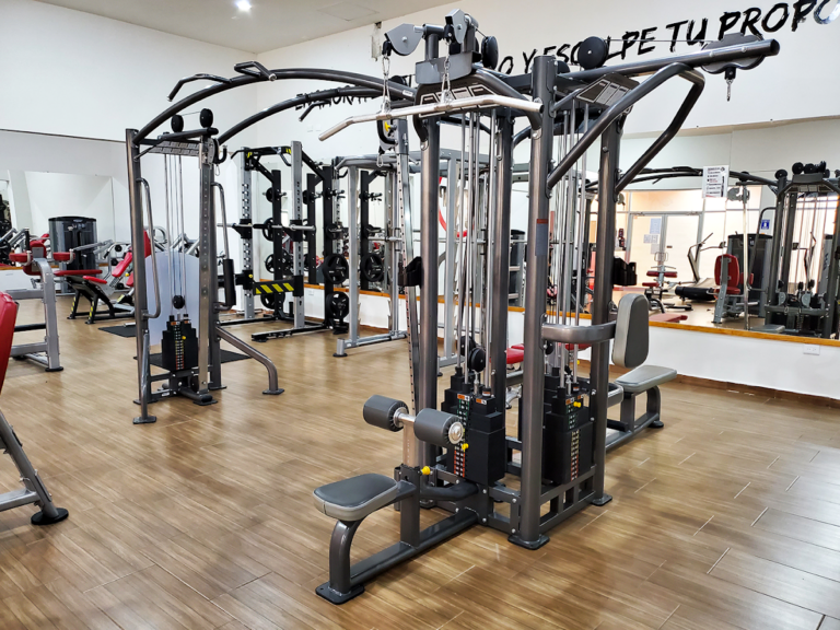 20597 champs gym 768x576