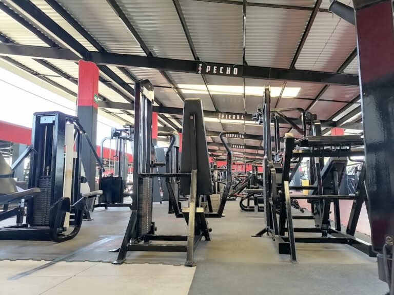 20604 gimnasio olimpia manzanillo 768x576