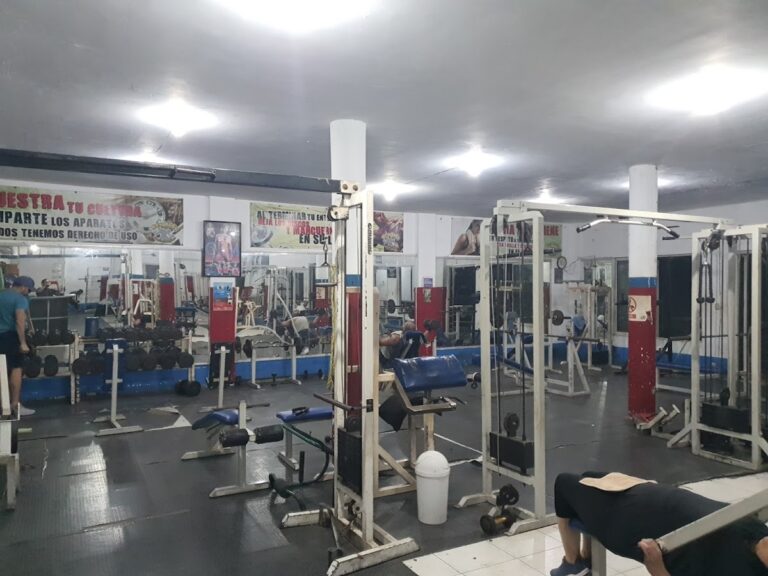 20728 new body gym 768x576