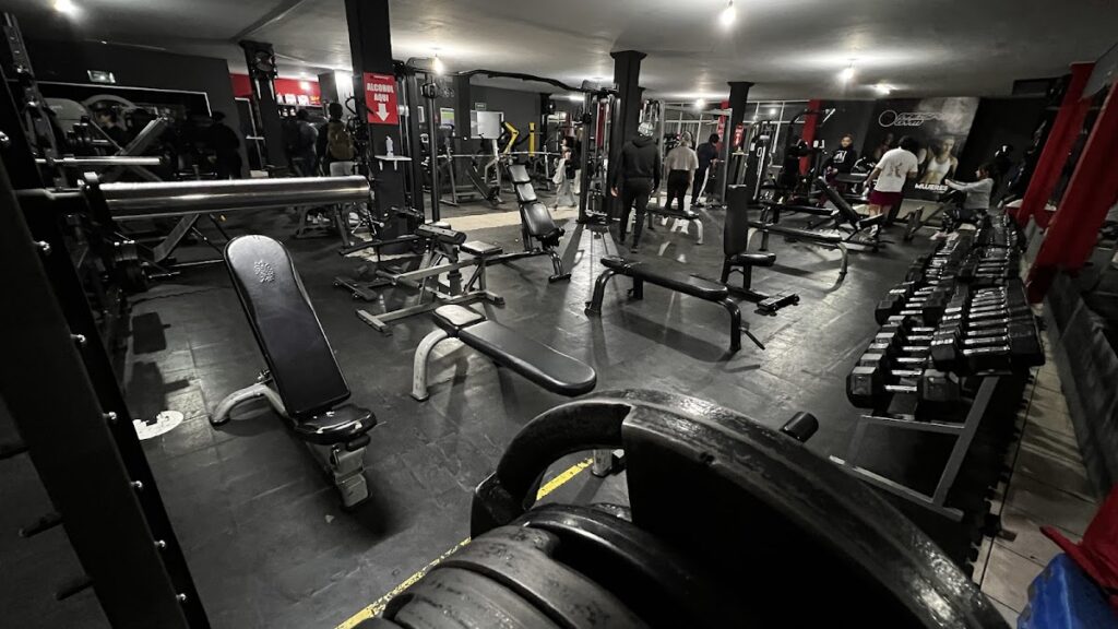 20868 pansport gym 1024x576